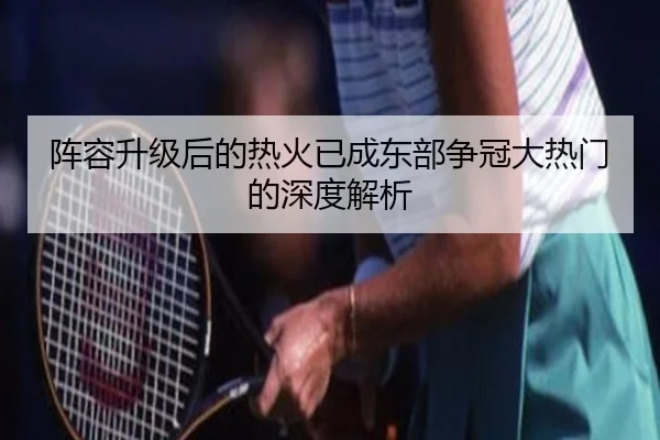 阵容升级后的热火已成东部争冠大热门的深度解析